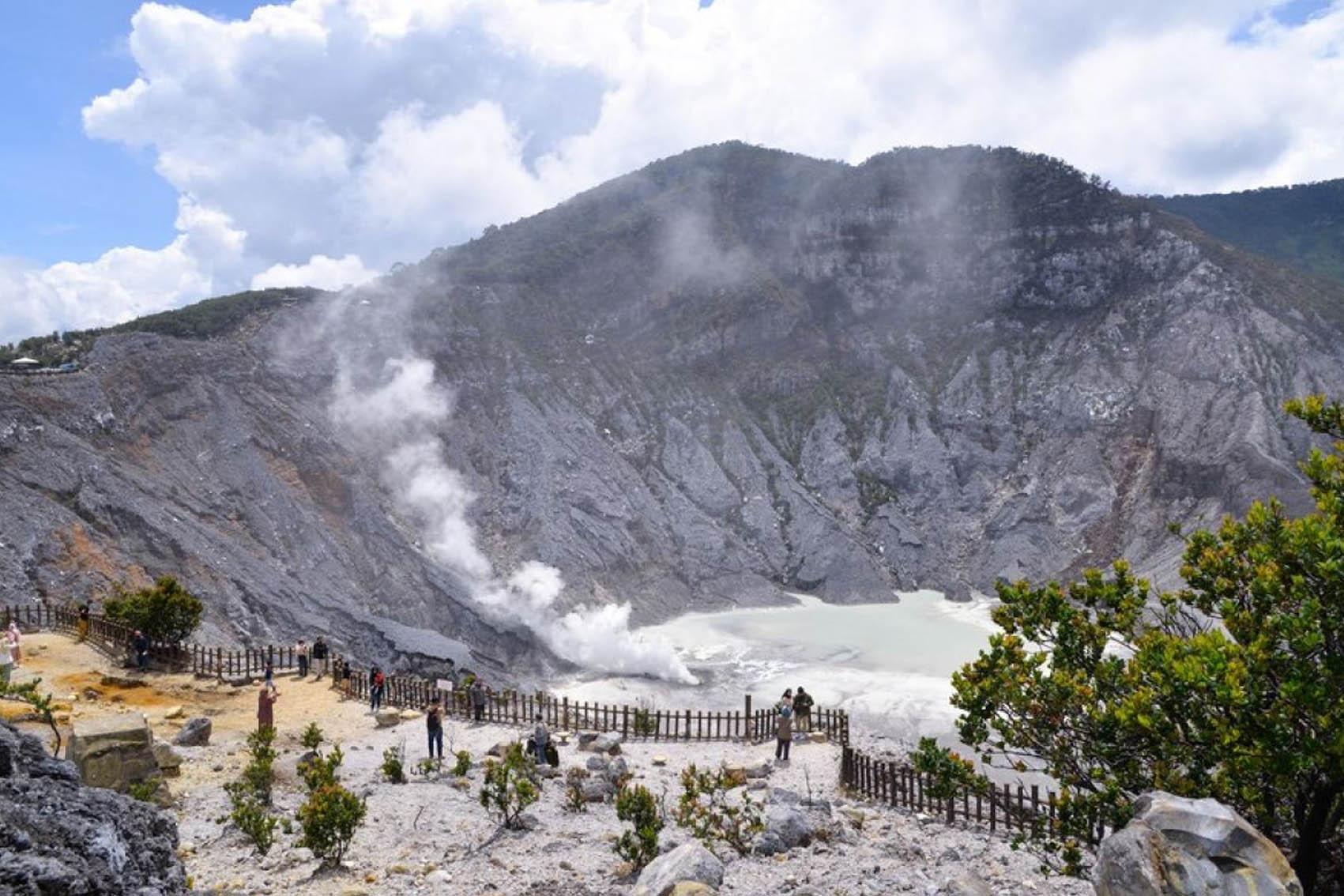 Active Volcano, Rice Field, Hot Spring, Fruit market, Tea Plantation with Lunch